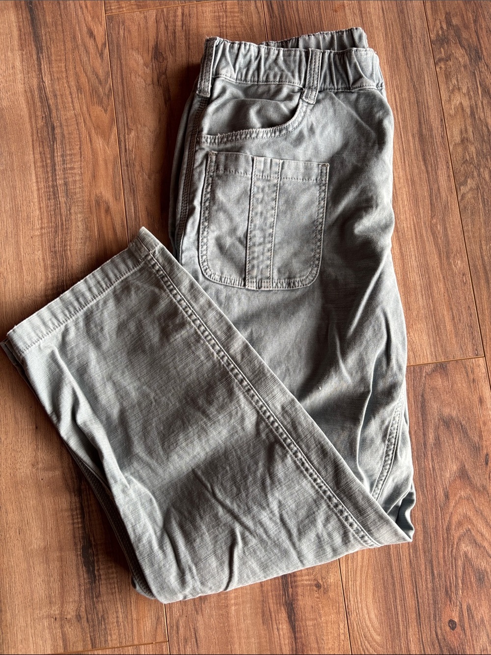 Anthropologie Pilcro Pull On Utility Pants in Iris Blue Size Medium